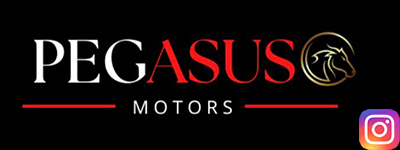 Pegasus Motors